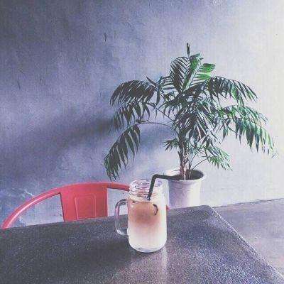 奥姆海盗手机版下载